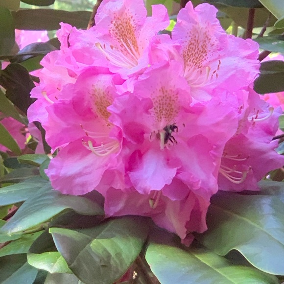 Sharing Oregon 🧡 - Picture 10 of 16